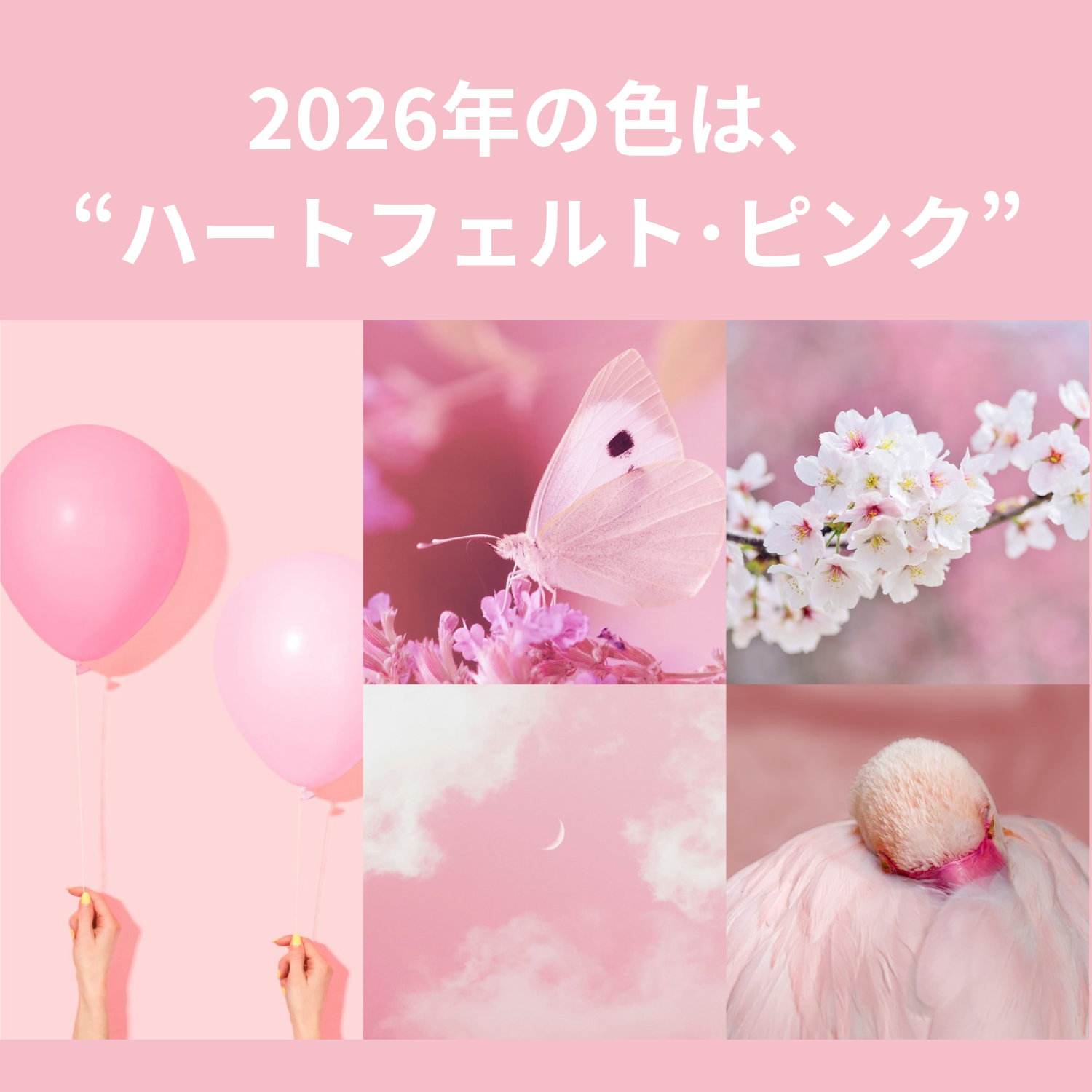2026年の色・ハートフェルト・ピンク｜インテリアや暮らしへの取り入れ方