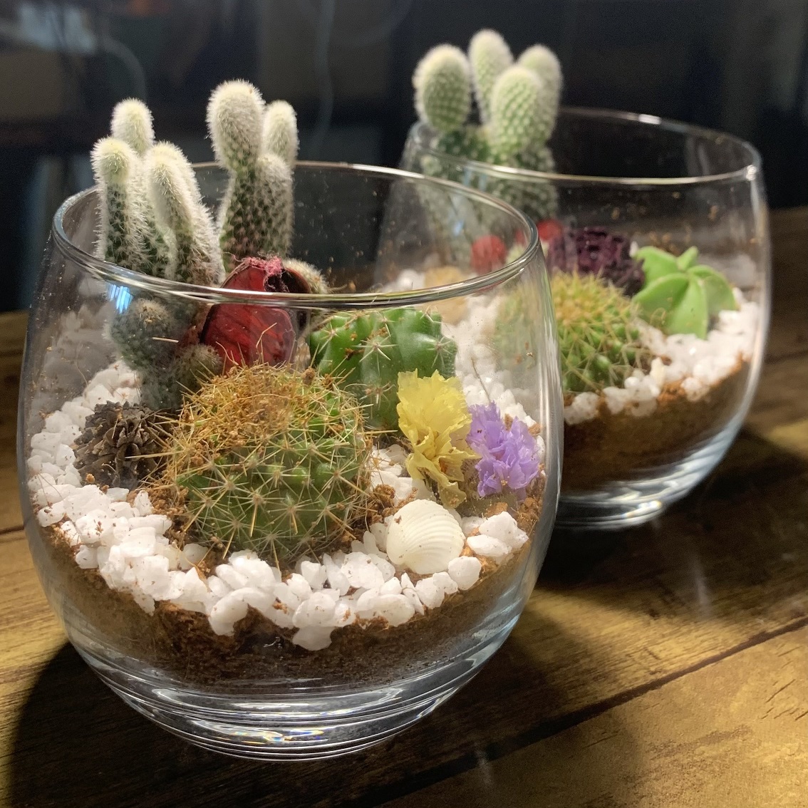 便利でオシャレな飾り棚『ニッチ』と観葉植物『サボテン』